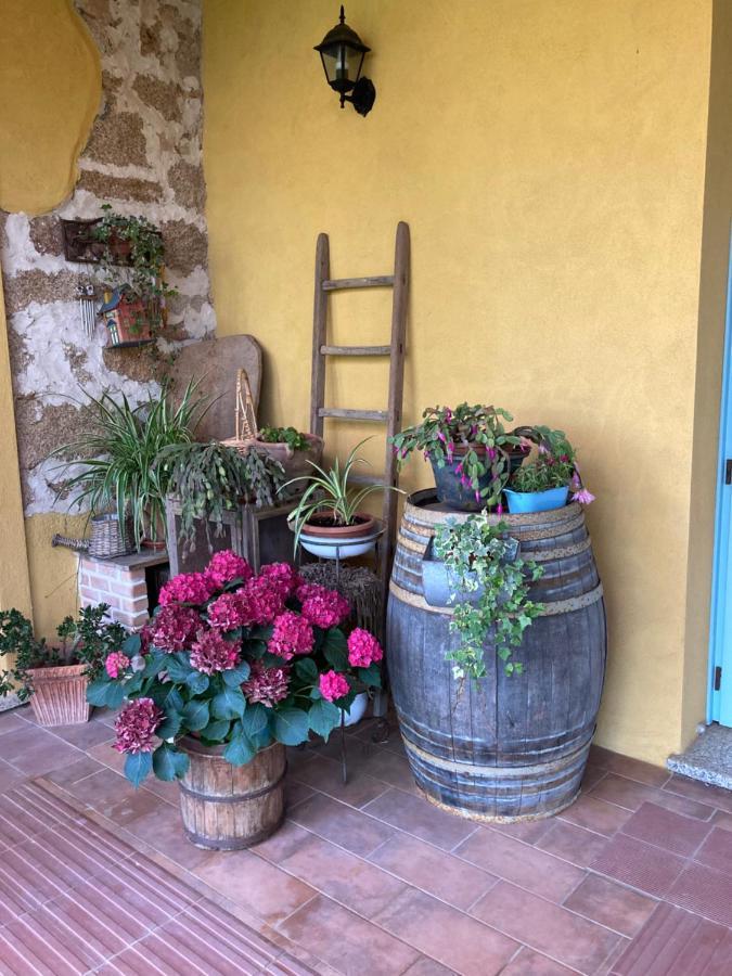 Agriturismo Is Conchisceddas Gonnosfanàdiga 외부 사진
