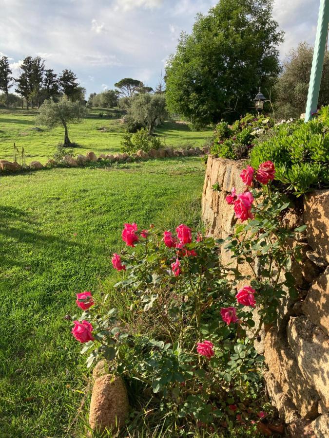 Agriturismo Is Conchisceddas Gonnosfanàdiga 외부 사진
