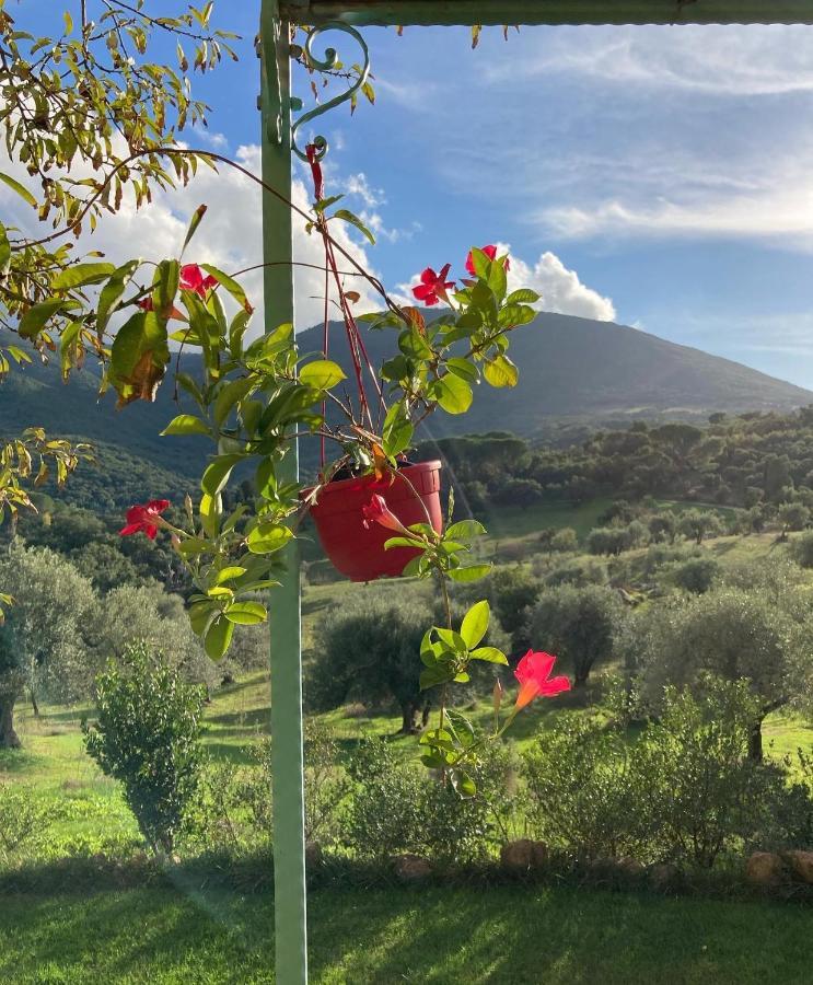Agriturismo Is Conchisceddas Gonnosfanàdiga 외부 사진