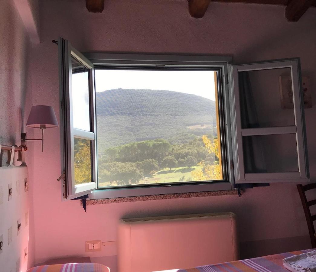 Agriturismo Is Conchisceddas Gonnosfanàdiga 외부 사진