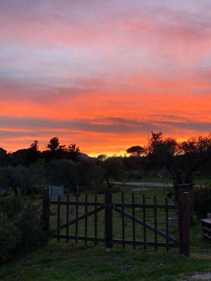 Agriturismo Is Conchisceddas Gonnosfanàdiga 외부 사진