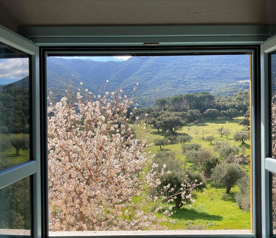 Agriturismo Is Conchisceddas Gonnosfanàdiga 외부 사진