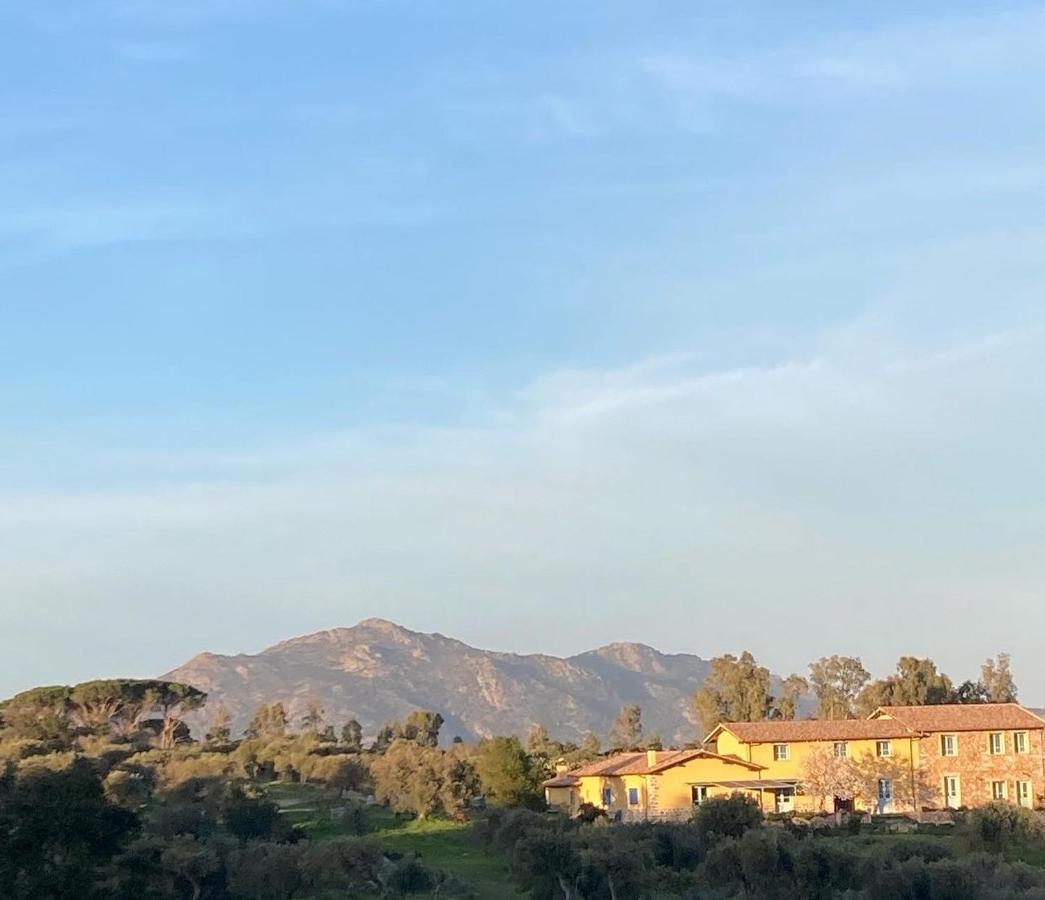 Agriturismo Is Conchisceddas Gonnosfanàdiga 외부 사진
