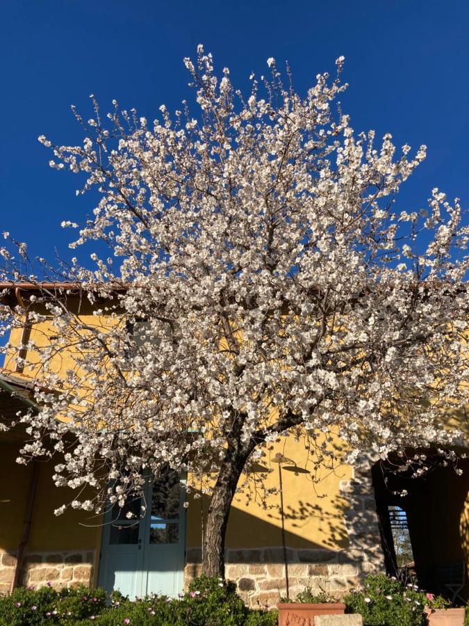 Agriturismo Is Conchisceddas Gonnosfanàdiga 외부 사진