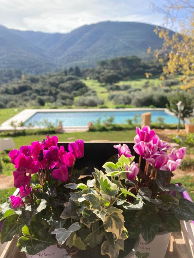 Agriturismo Is Conchisceddas Gonnosfanàdiga 외부 사진