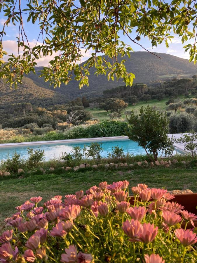 Agriturismo Is Conchisceddas Gonnosfanàdiga 외부 사진