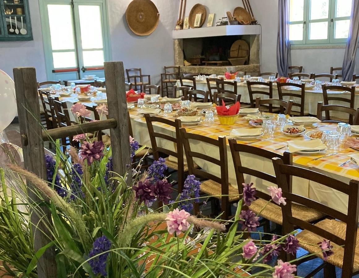 Agriturismo Is Conchisceddas Gonnosfanàdiga 외부 사진