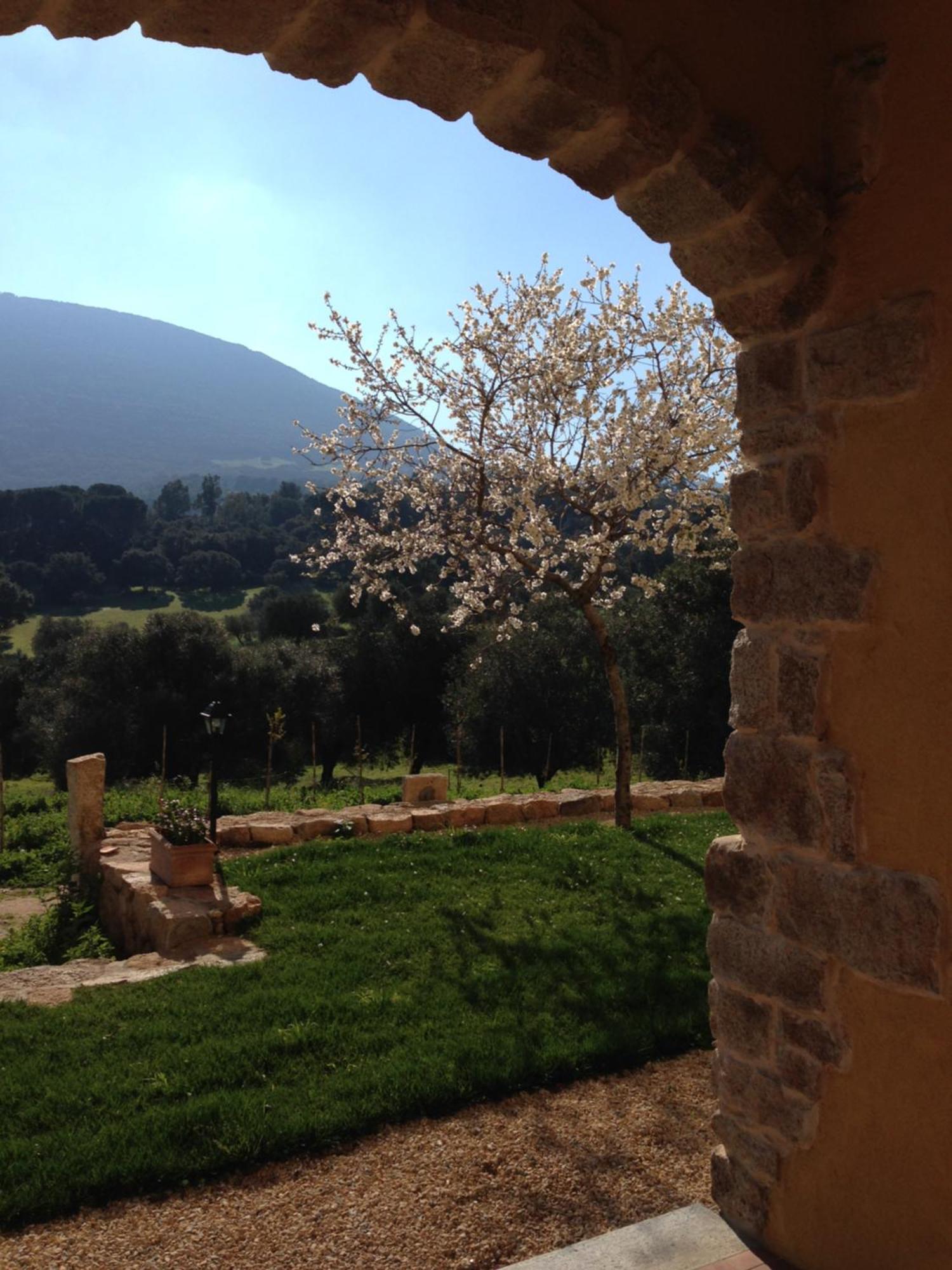 Agriturismo Is Conchisceddas Gonnosfanàdiga 외부 사진