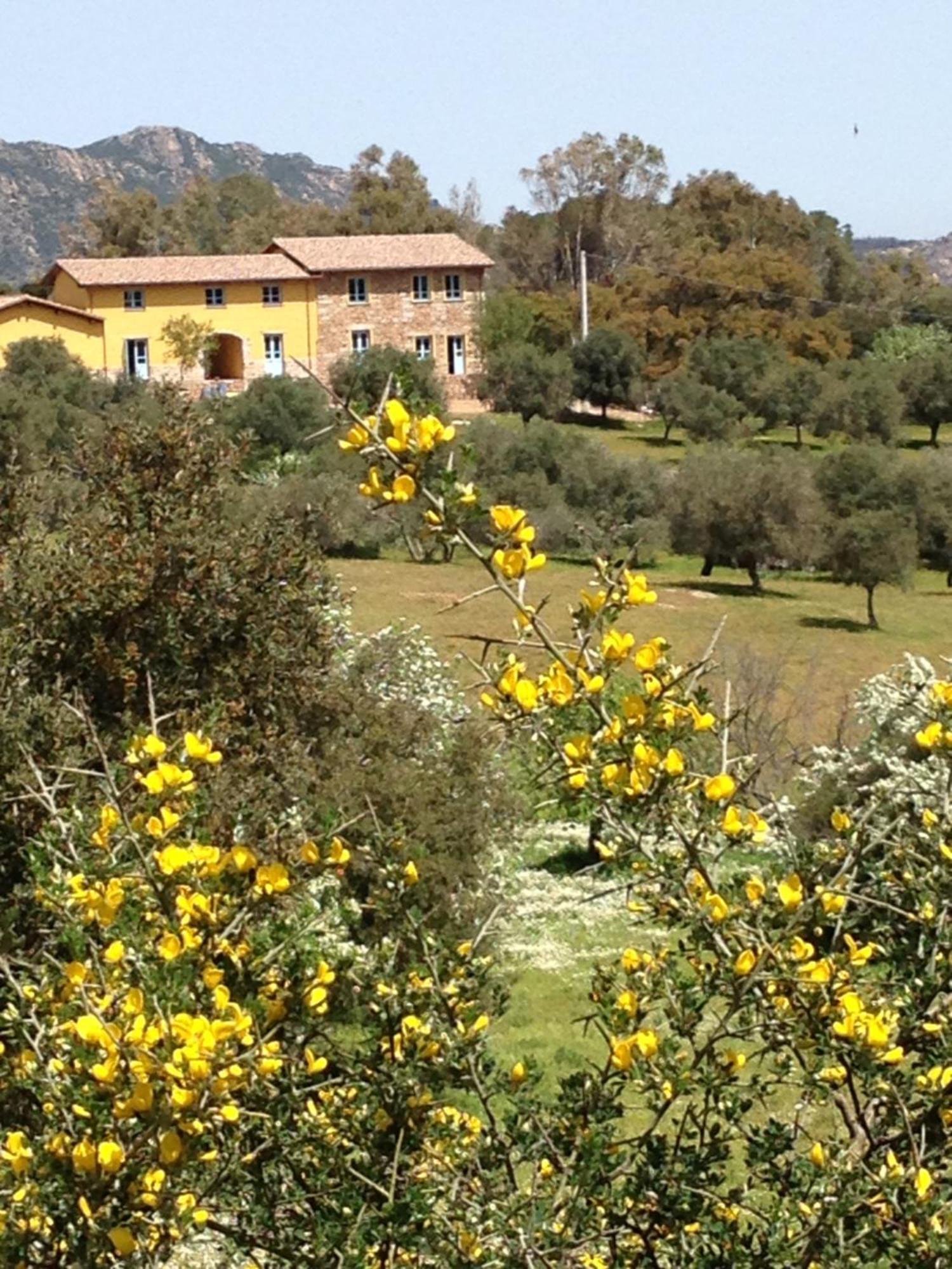 Agriturismo Is Conchisceddas Gonnosfanàdiga 외부 사진
