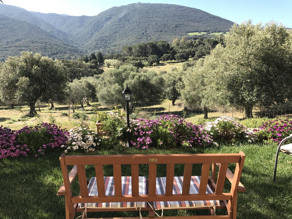 Agriturismo Is Conchisceddas Gonnosfanàdiga 외부 사진