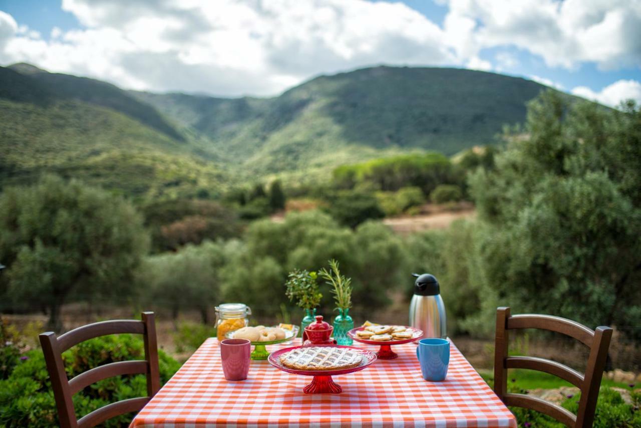 Agriturismo Is Conchisceddas Gonnosfanàdiga 외부 사진