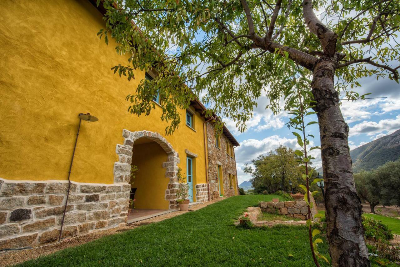 Agriturismo Is Conchisceddas Gonnosfanàdiga 외부 사진
