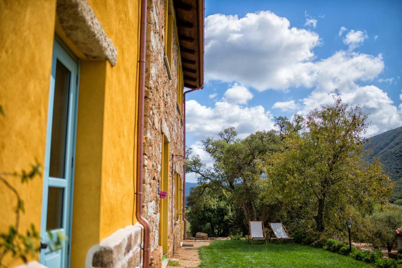 Agriturismo Is Conchisceddas Gonnosfanàdiga 외부 사진