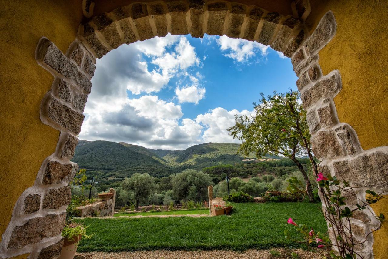 Agriturismo Is Conchisceddas Gonnosfanàdiga 외부 사진