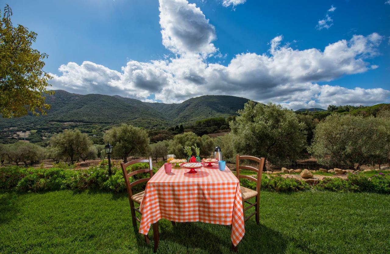 Agriturismo Is Conchisceddas Gonnosfanàdiga 외부 사진