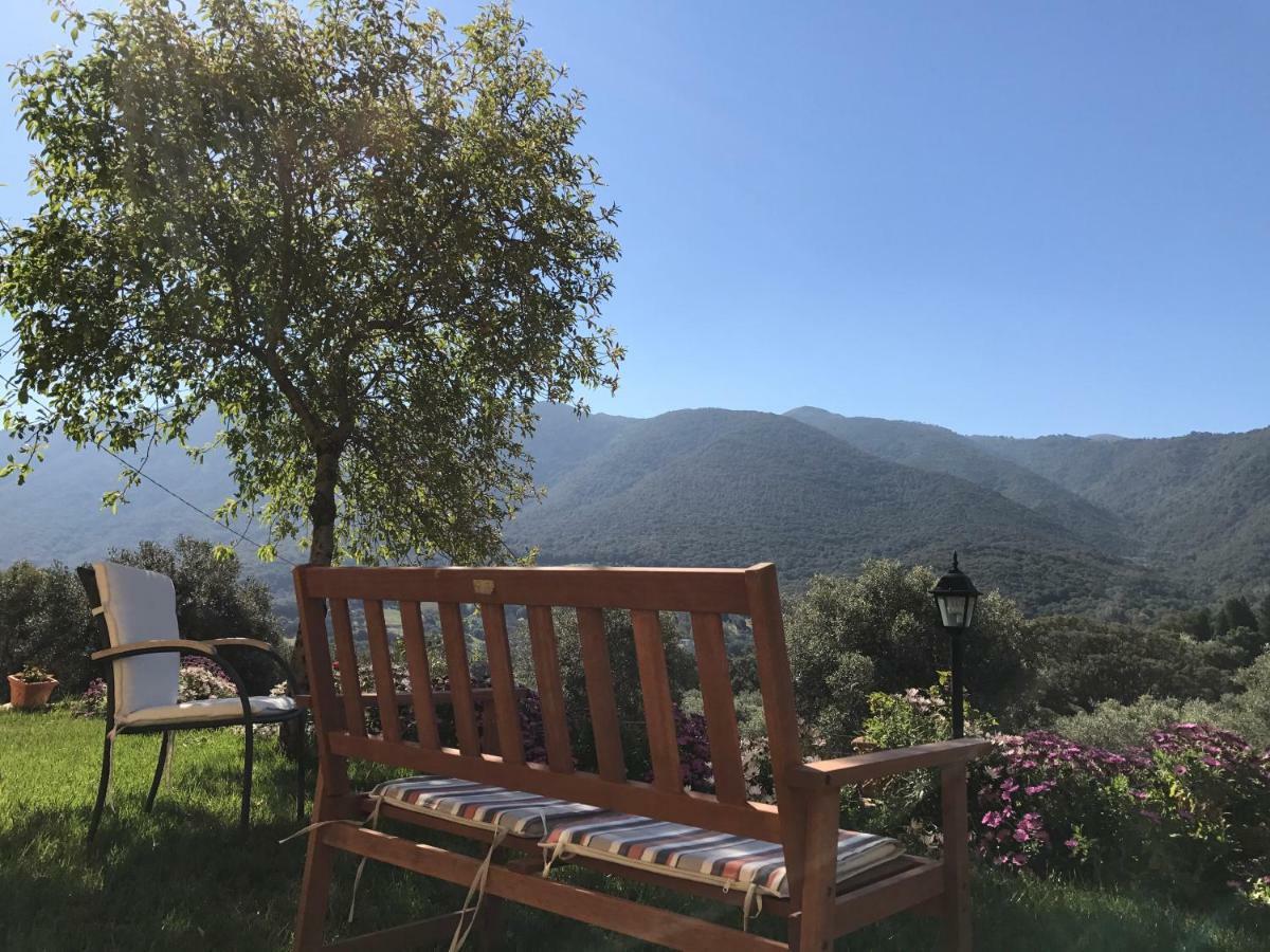 Agriturismo Is Conchisceddas Gonnosfanàdiga 외부 사진