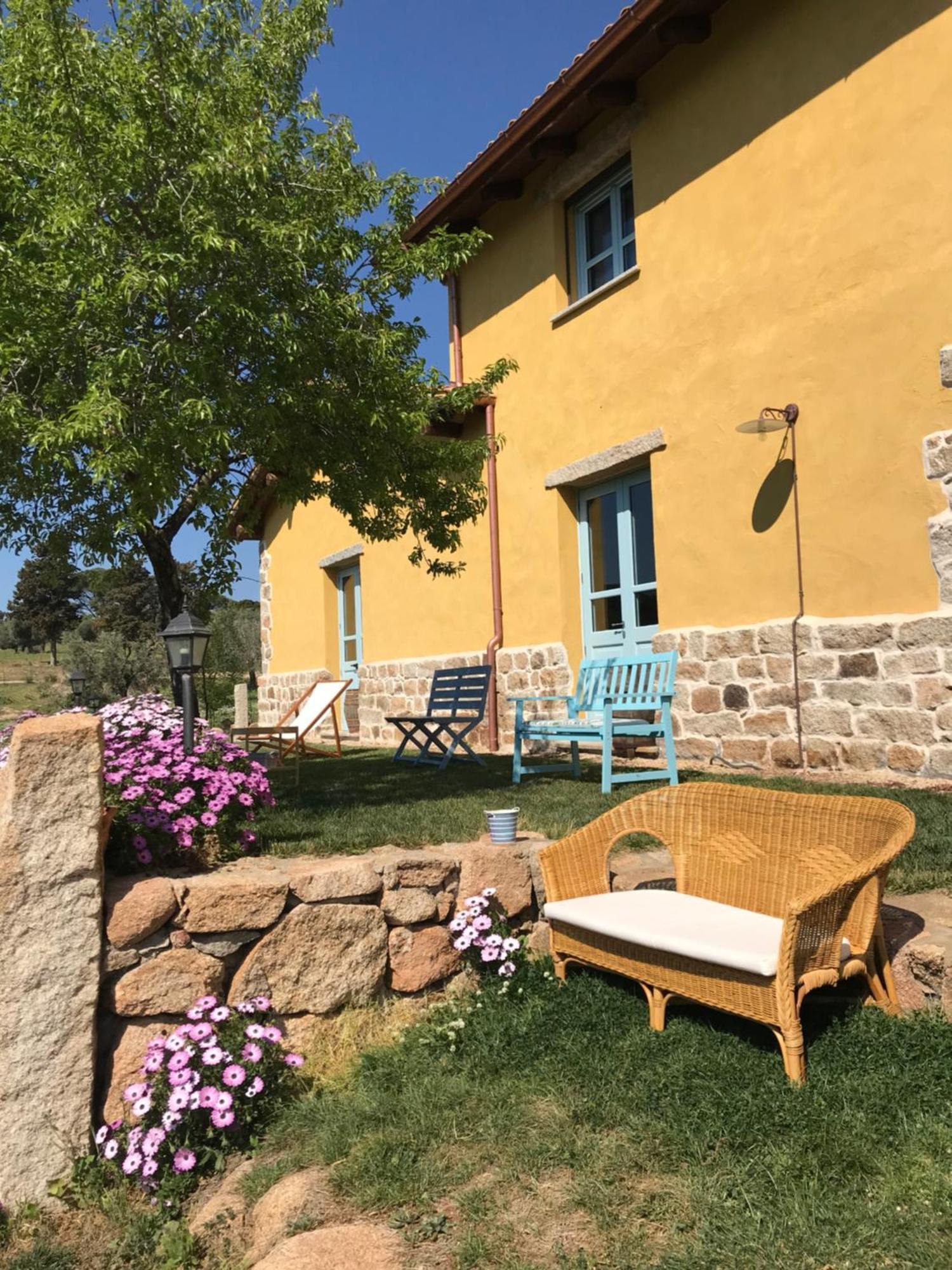Agriturismo Is Conchisceddas Gonnosfanàdiga 외부 사진